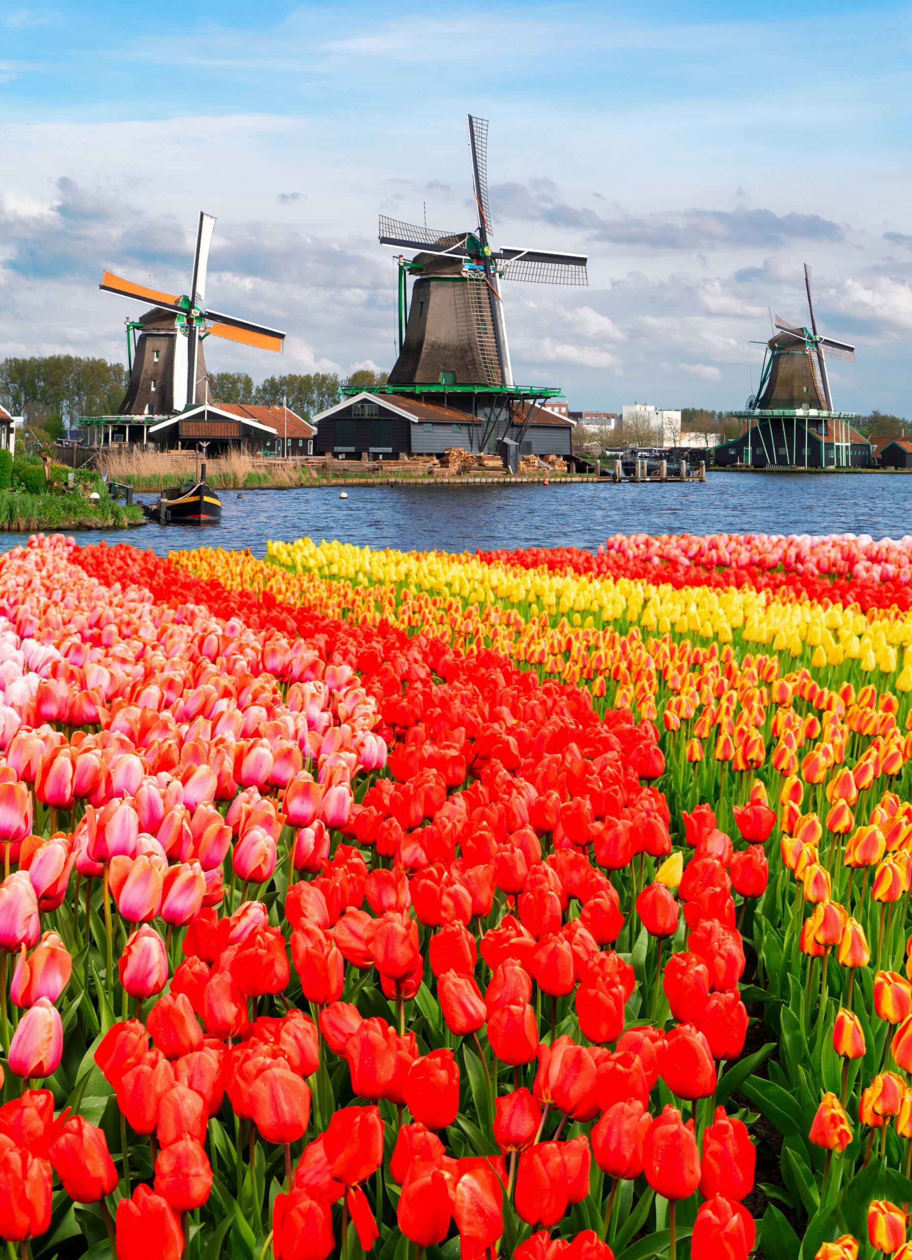 SI SUPER CLASSIFIED | We Do Care For Your Business Growth